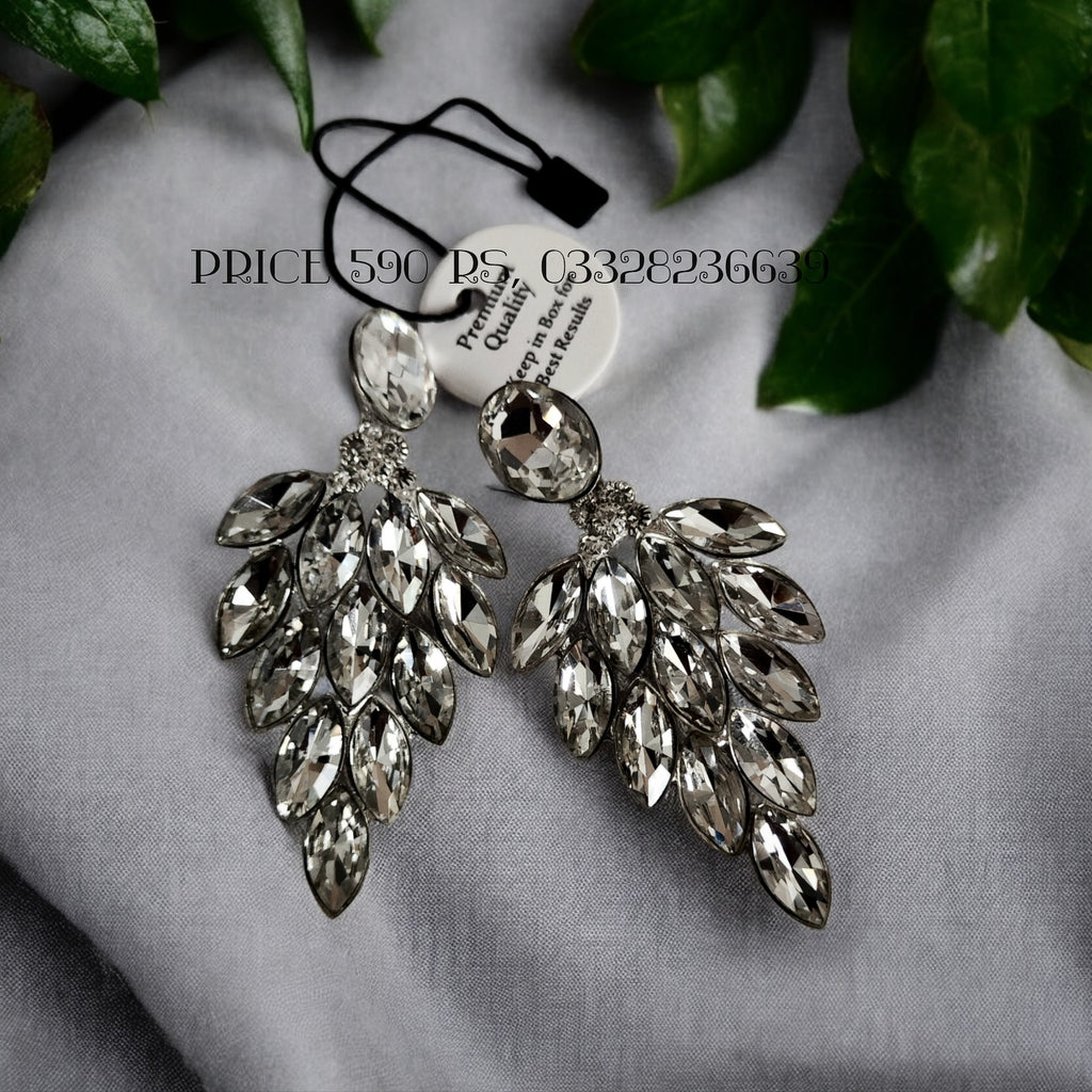 Beautiful Crystals Earrings